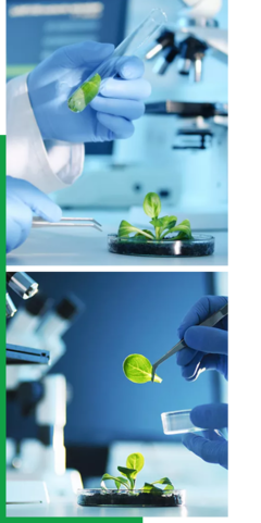 創(chuàng)新驅(qū)動，智領(lǐng)未來——我們的企業(yè)簡介